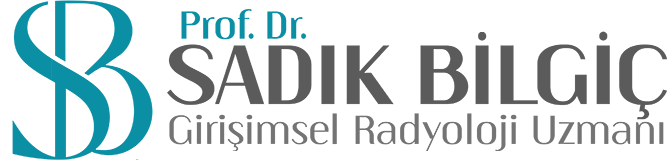 sadik-bilgic-logo-yatay